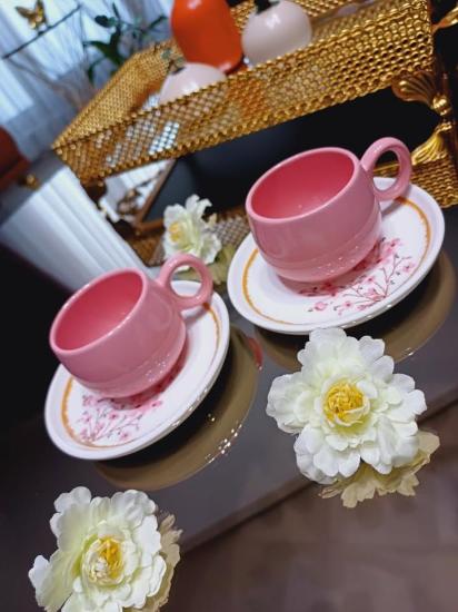 6 Kişilik 12 Parça Pembe Stonware Dijital Baskı Fincan Takımı